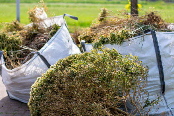 Best Construction Debris Removal  in Channahon, IL